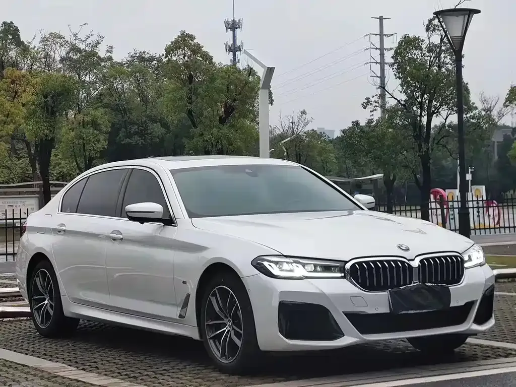 BMW 5 Series 2021 из CN, фото 8