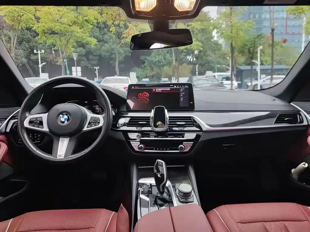 BMW 5 Series 2021 из CN, фото 7