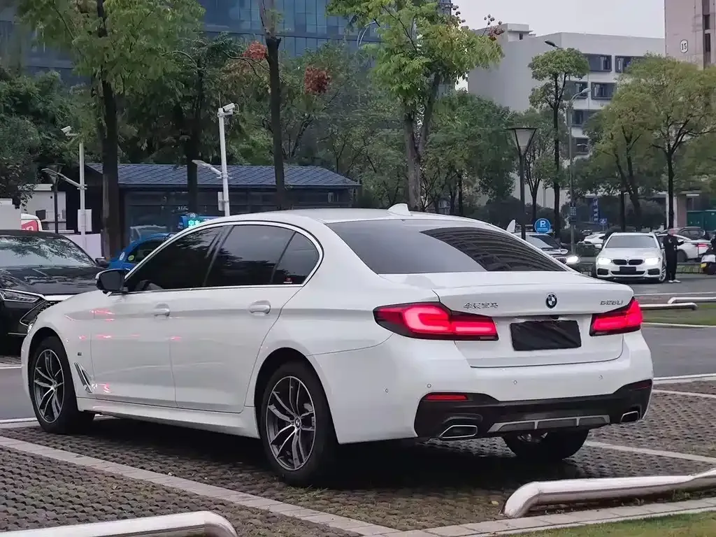 BMW 5 Series 2021 из CN, фото 5
