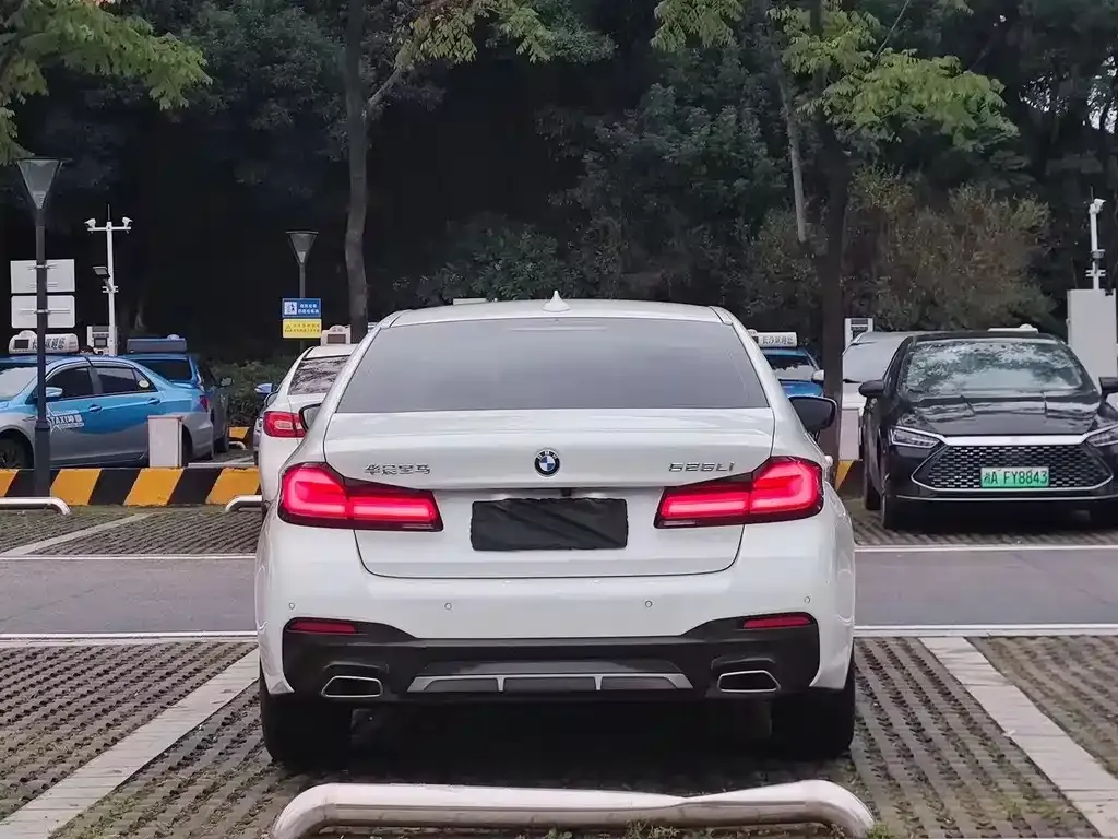 BMW 5 Series 2021 из CN, фото 4