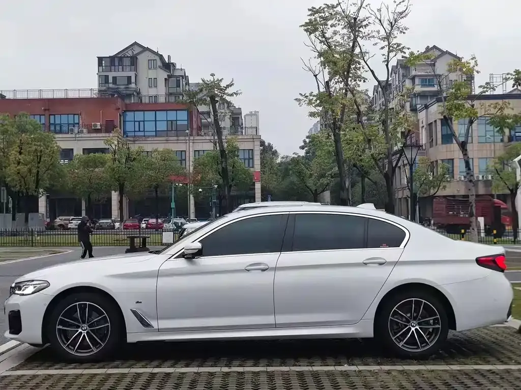 BMW 5 Series 2021 из CN, фото 9