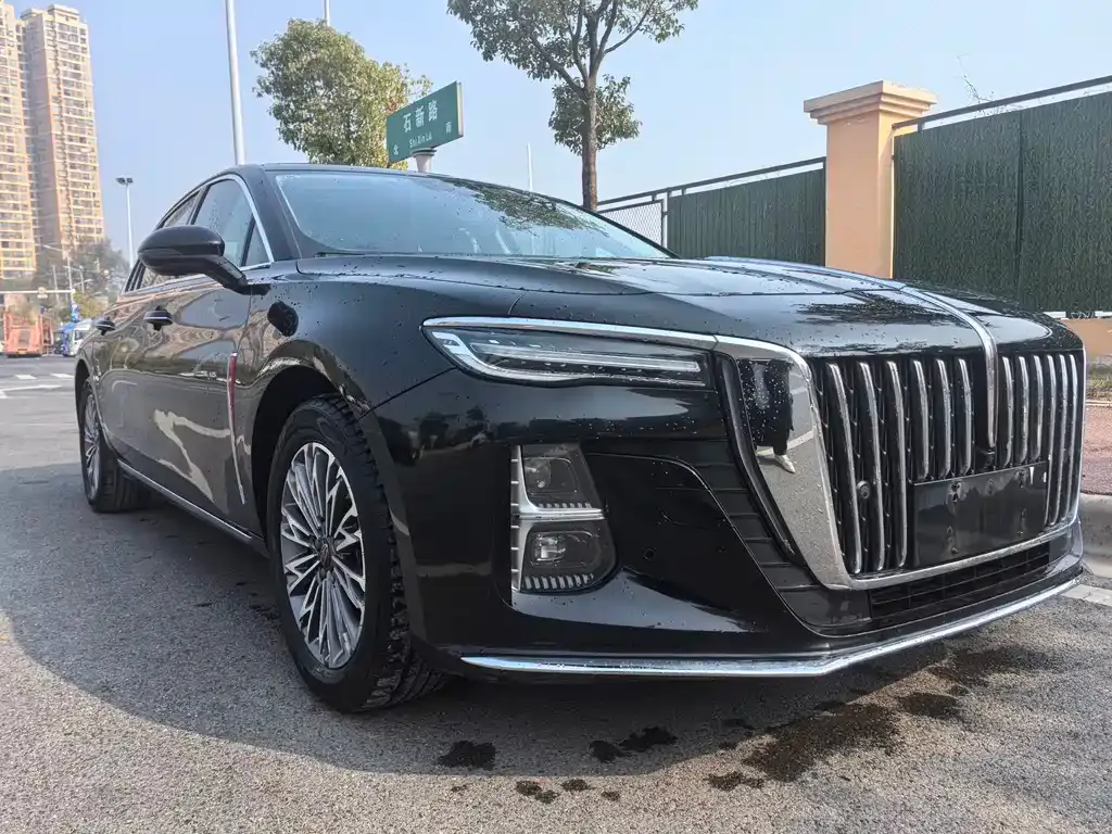 Hongqi H5 2023 из CN, фото 3