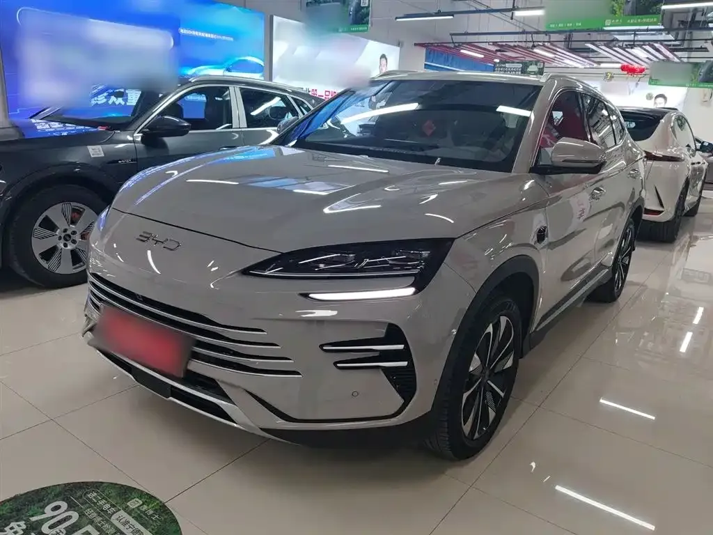 BYD PLUS New Energy 2025 из CN, фото 1
