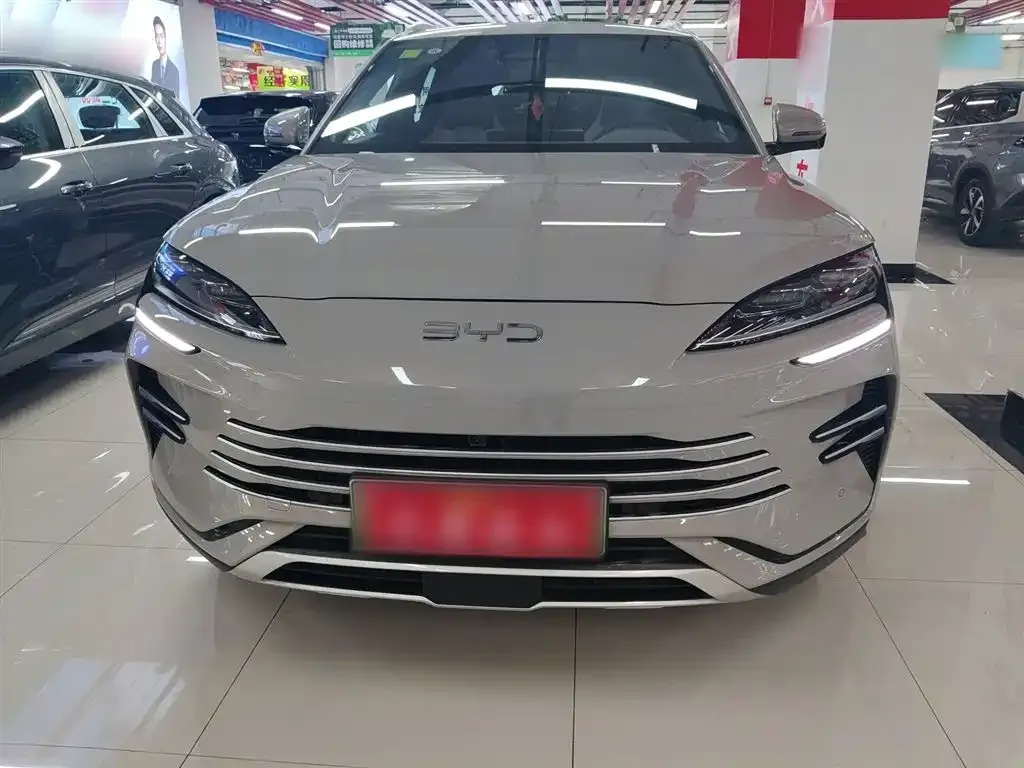 BYD PLUS New Energy 2025 из CN, фото 3