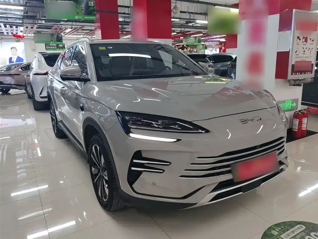BYD PLUS New Energy 2025 из CN, фото 4
