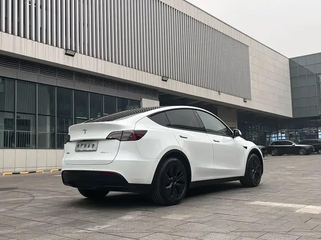 Tesla Model Y — фото 6