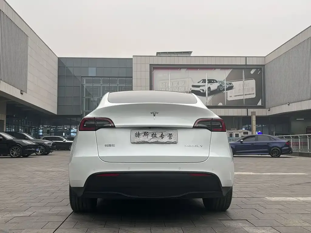 Tesla Model Y — фото 2