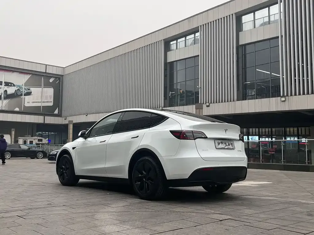 Tesla Model Y — фото 3