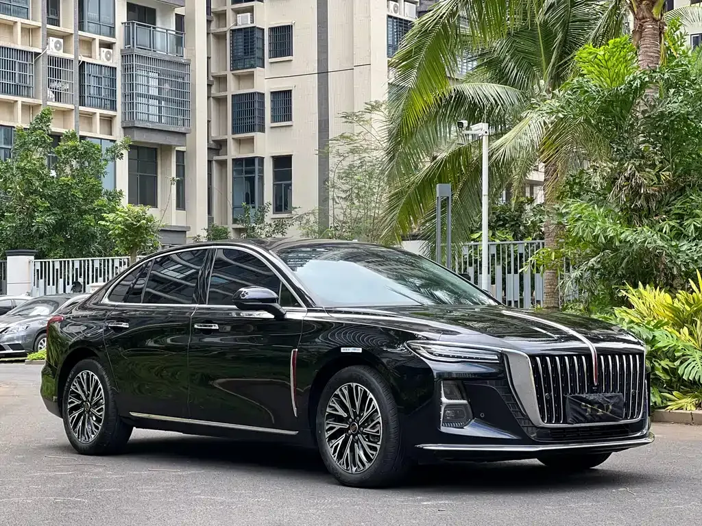 Hongqi H5 2025 из CN, фото 9