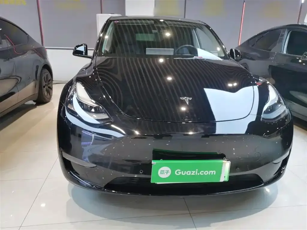 Tesla Model Y 2021 из CN, фото 5