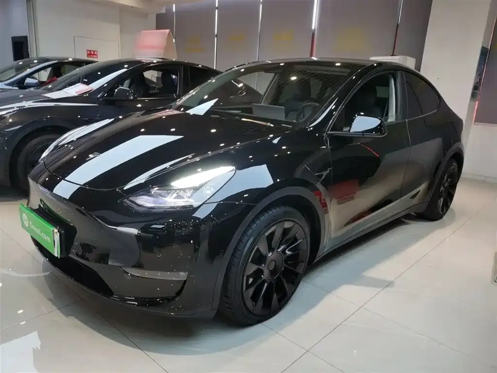 Tesla Model Y 2021 из CN, фото 6