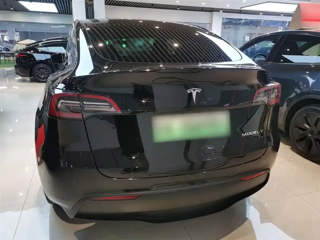 Tesla Model Y 2021 из CN, фото 7