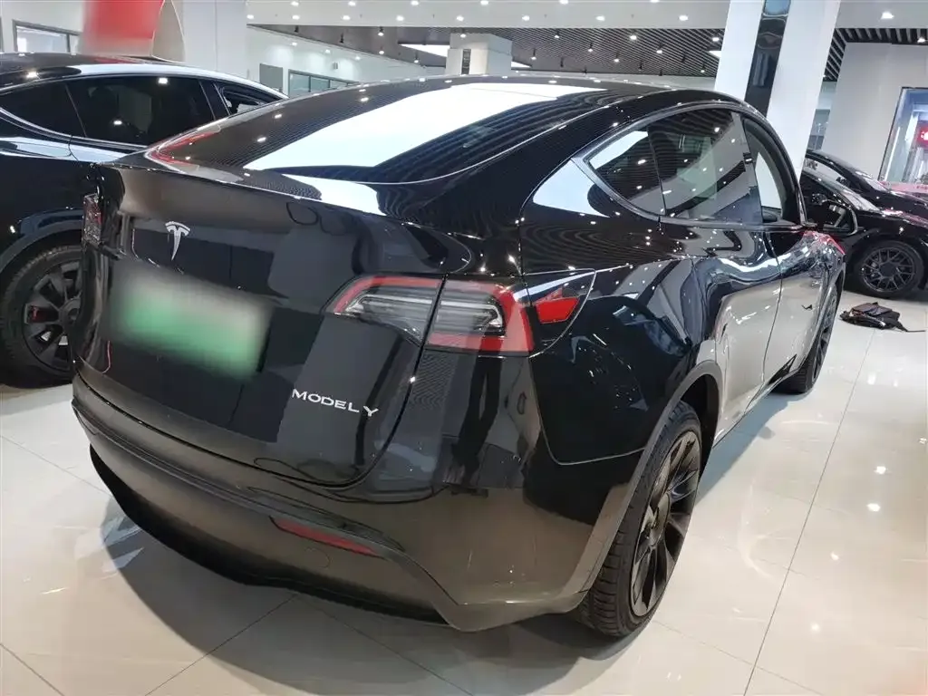 Tesla Model Y 2021 из CN, фото 3