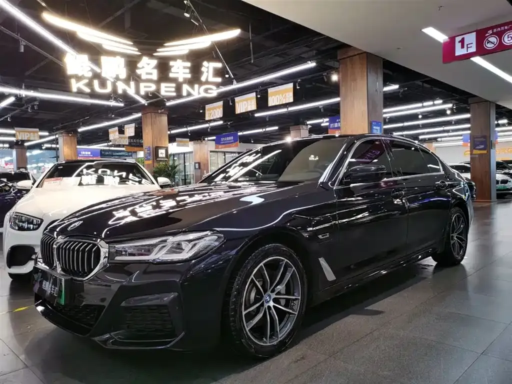 BMW 5 Series New Energy 2022 из CN, фото 1