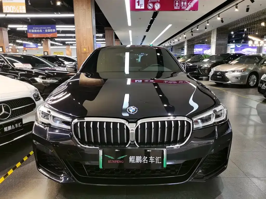 BMW 5 Series New Energy 2022 из CN, фото 10