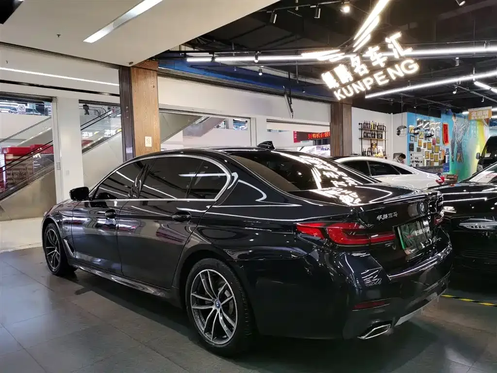 BMW 5 Series New Energy 2022 из CN, фото 8