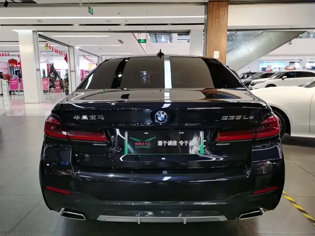 BMW 5 Series New Energy 2022 из CN, фото 3