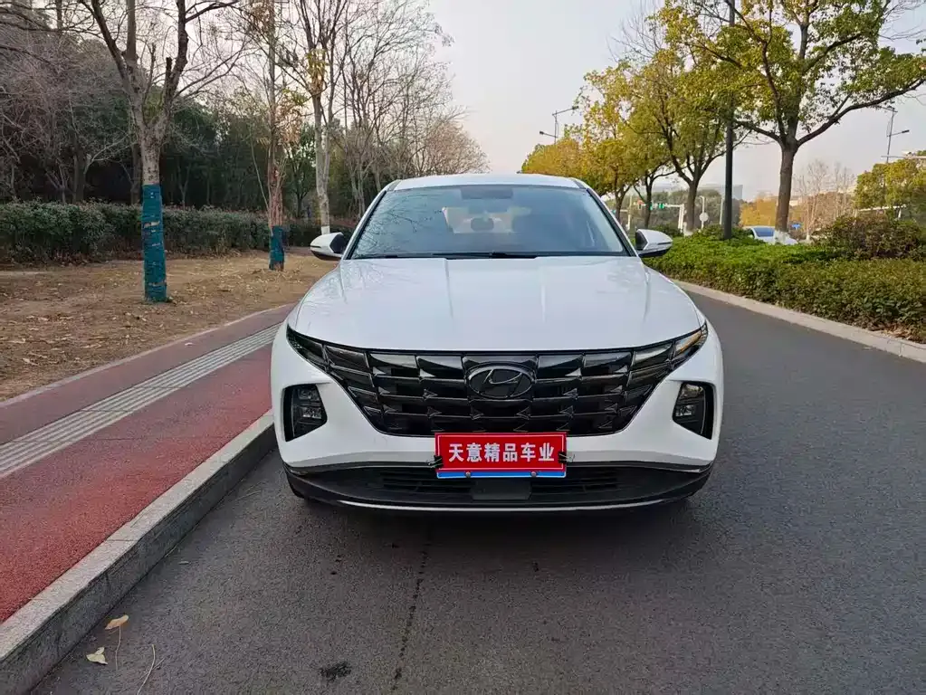Hyundai Tucson 2021 из CN, фото 6