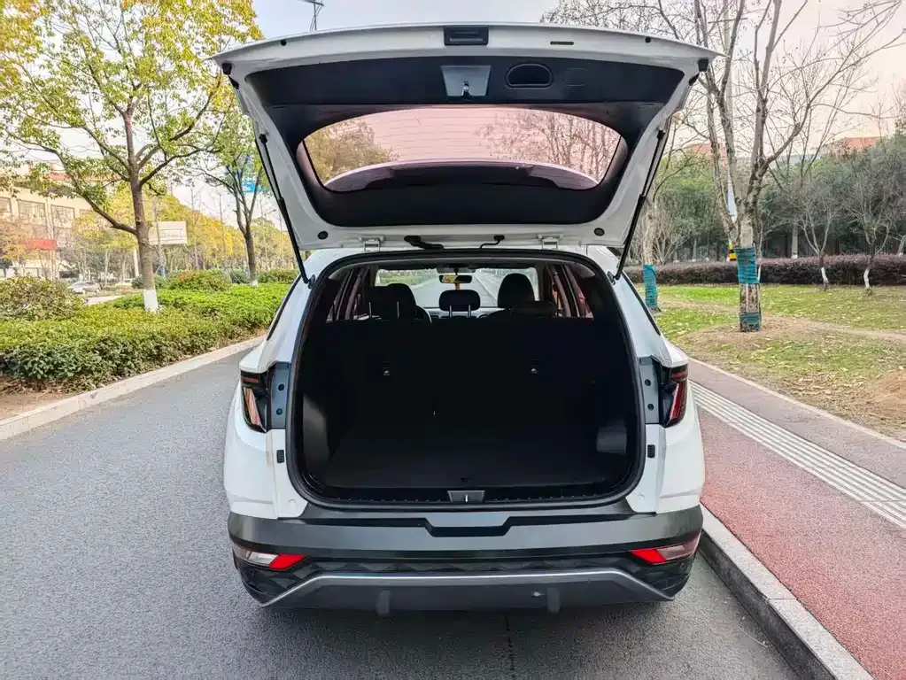 Hyundai Tucson 2021 из CN, фото 5