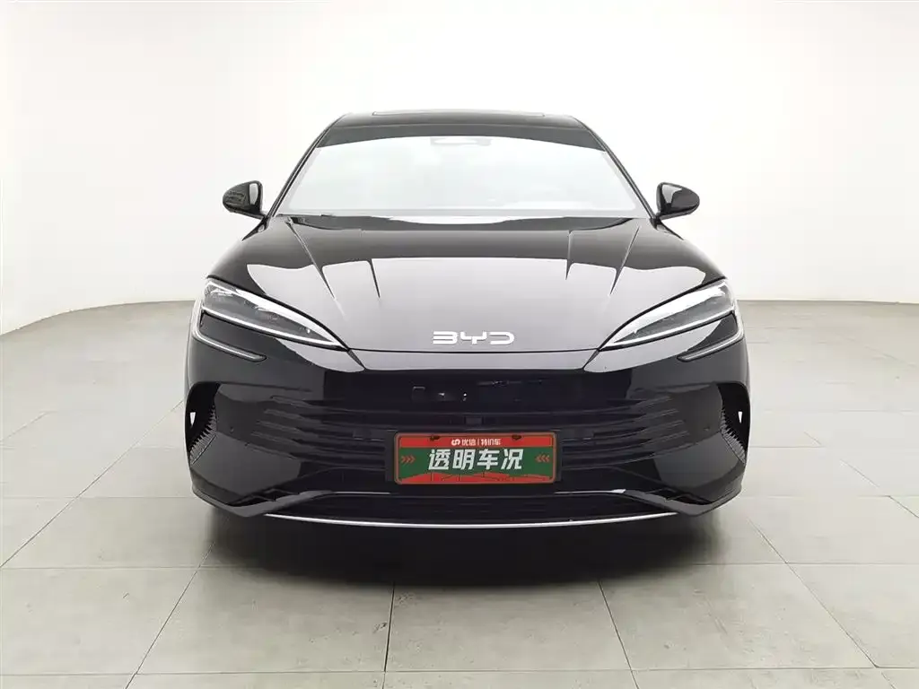 BYD Seal 07 DM-i 2024 из CN, фото 4