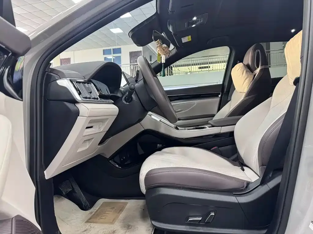BYD PLUS New Energy 2025 из CN, фото 3