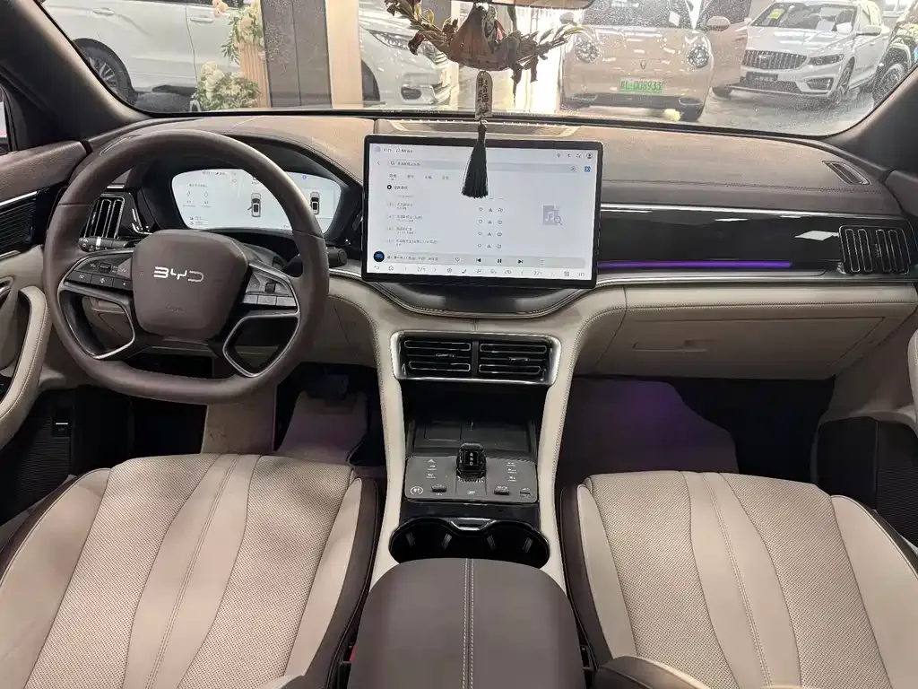 BYD PLUS New Energy 2025 из CN, фото 8