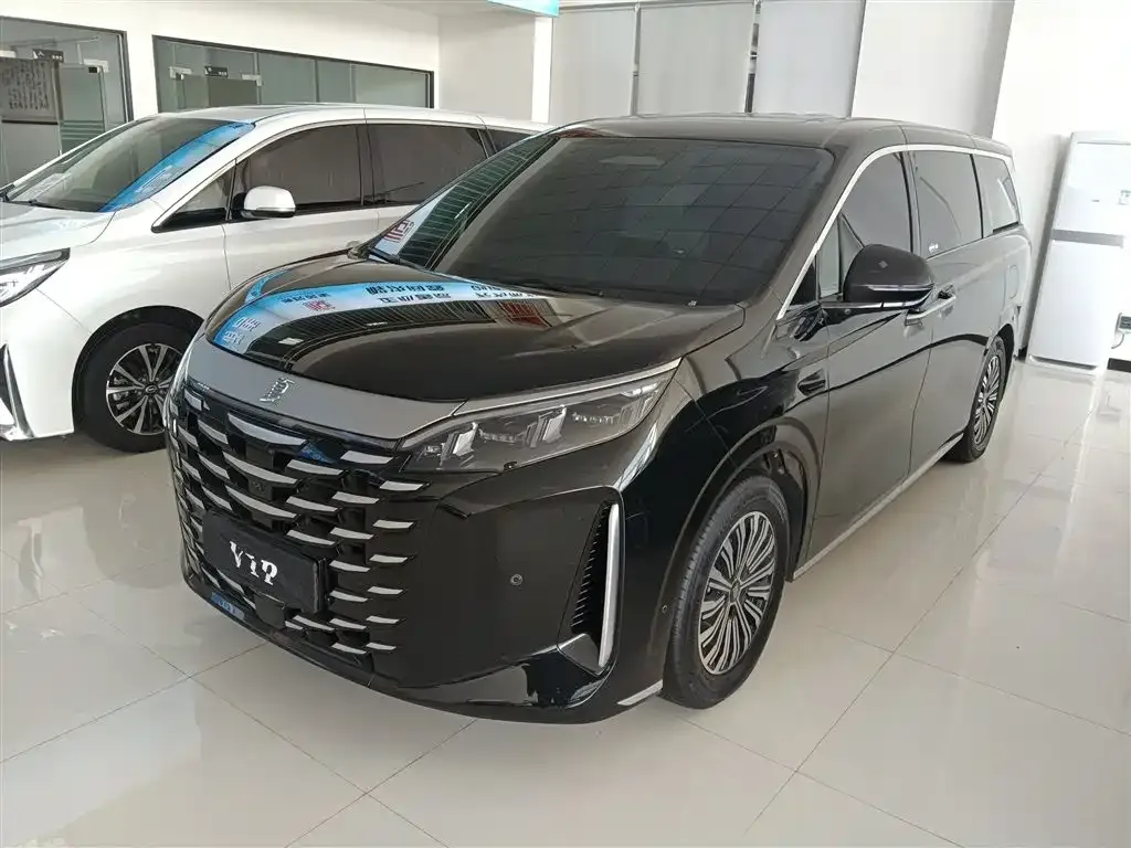 BYD Xia 2025 из CN, фото 1