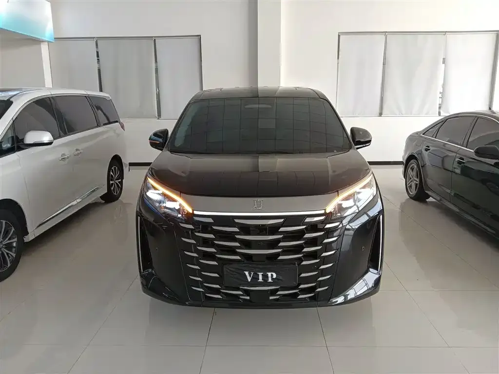BYD Xia 2025 из CN, фото 4