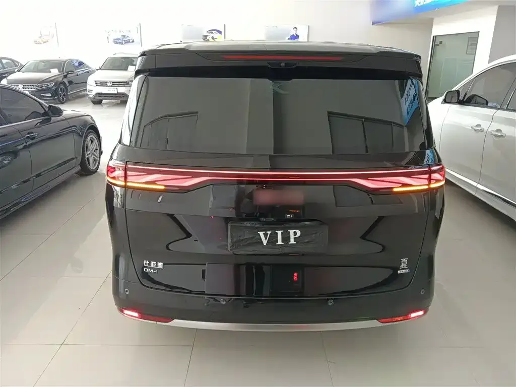 BYD Xia 2025 из CN, фото 3