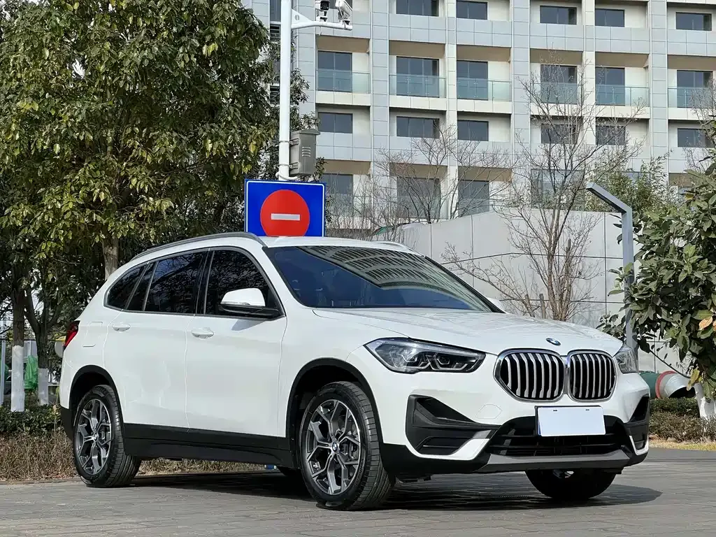 BMW X1 2022 из CN, фото 9