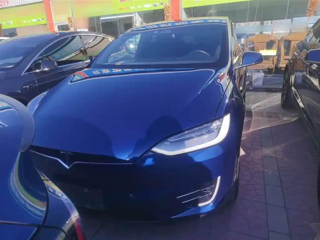Tesla Model X 2021 из CN, фото 7