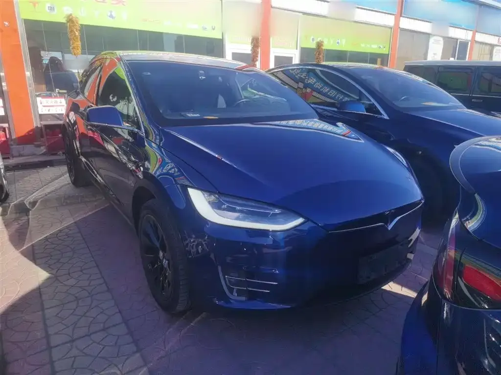 Tesla Model X 2021 из CN, фото 8