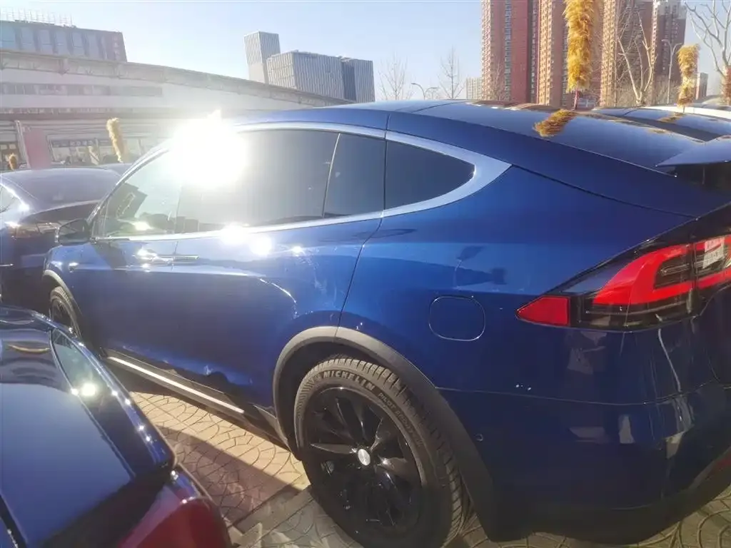 Tesla Model X 2021 из CN, фото 10