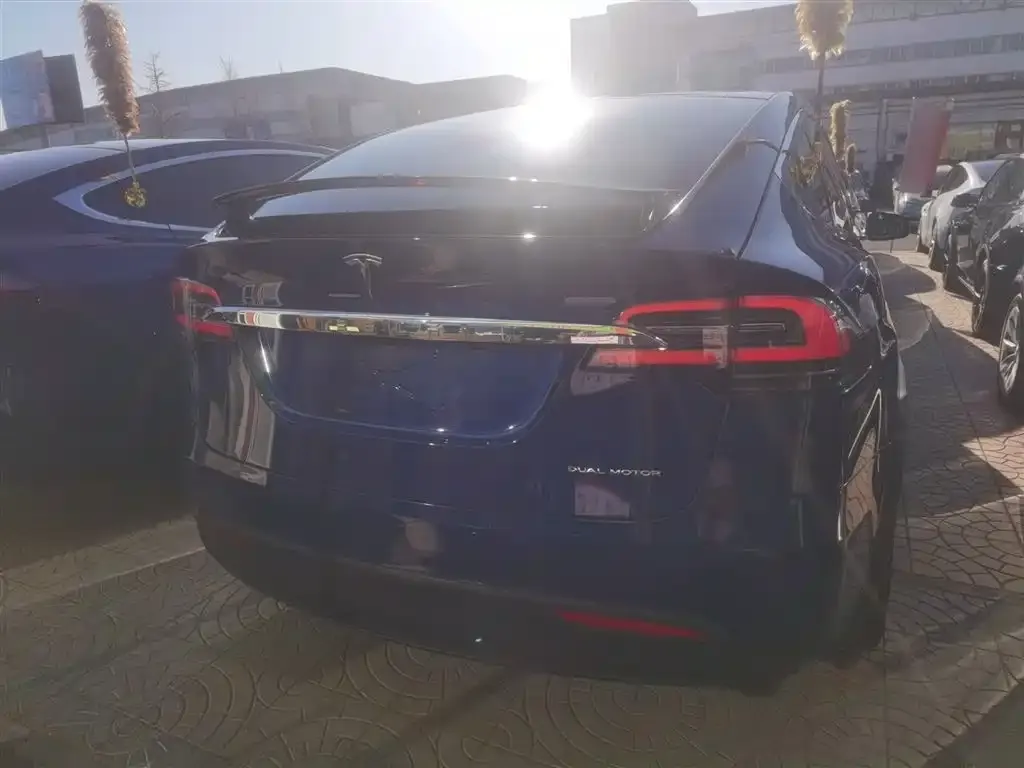 Tesla Model X 2021 из CN, фото 2