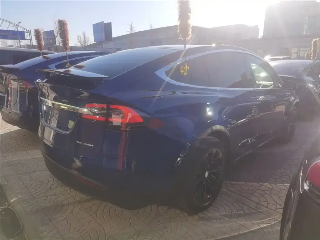 Tesla Model X 2021 из CN, фото 5