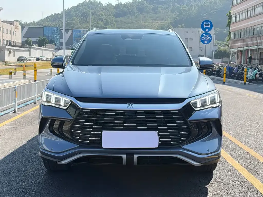 BYD Pro New Energy 2024 из CN, фото 2