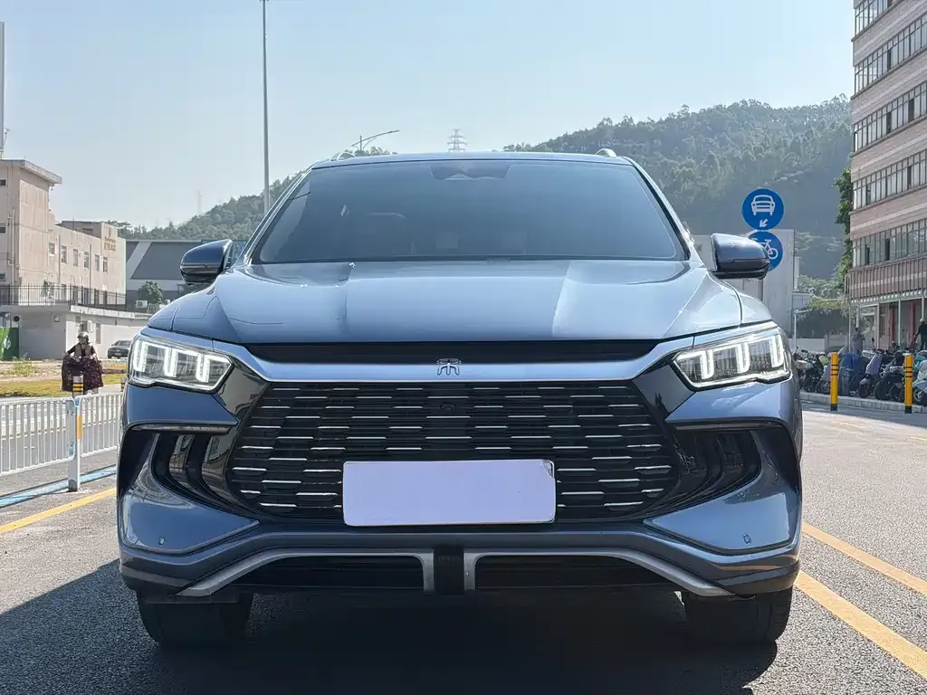 BYD Pro New Energy 2024 из CN, фото 5