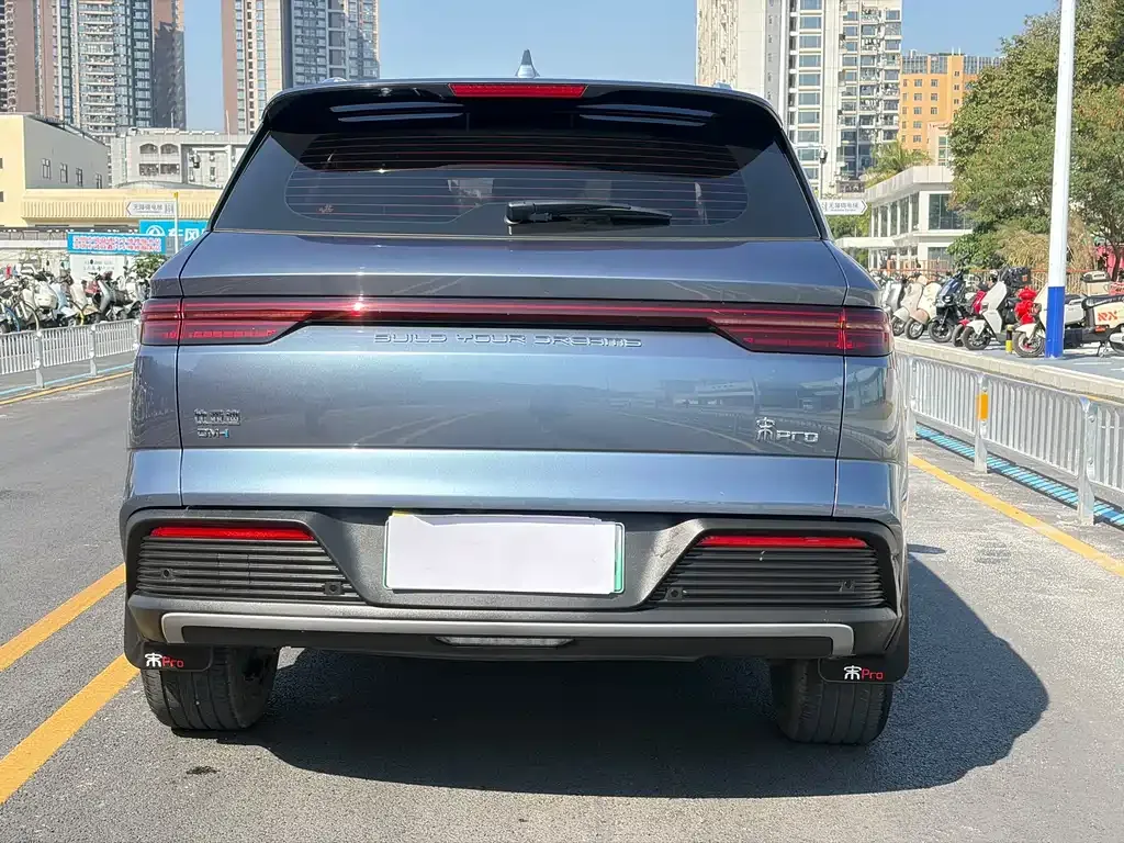 BYD Pro New Energy 2024 из CN, фото 7