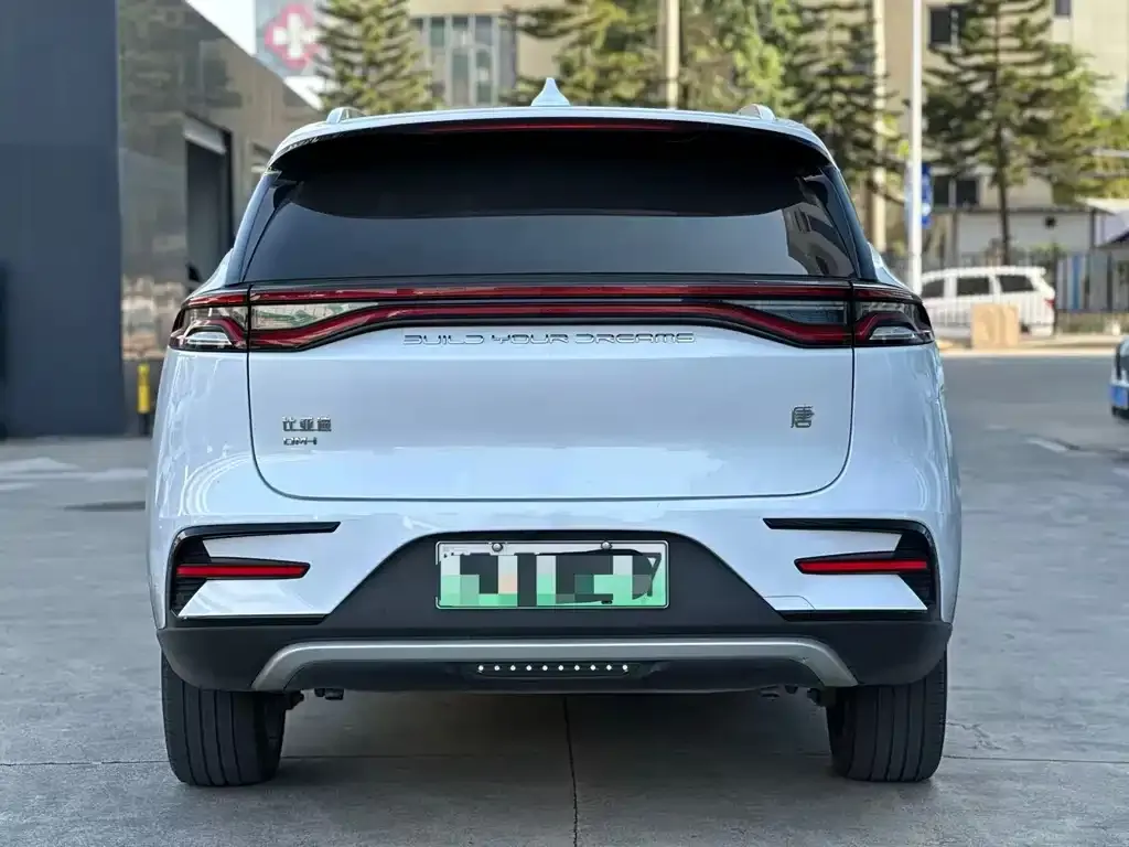BYD Tang New Energy 2023 из CN, фото 6