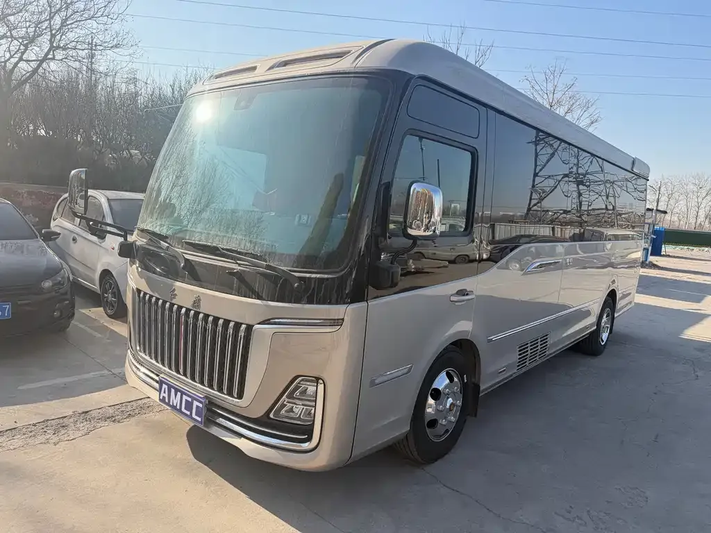 Hongqi Golden Sunflower Guoyue 2025 из CN, фото 1
