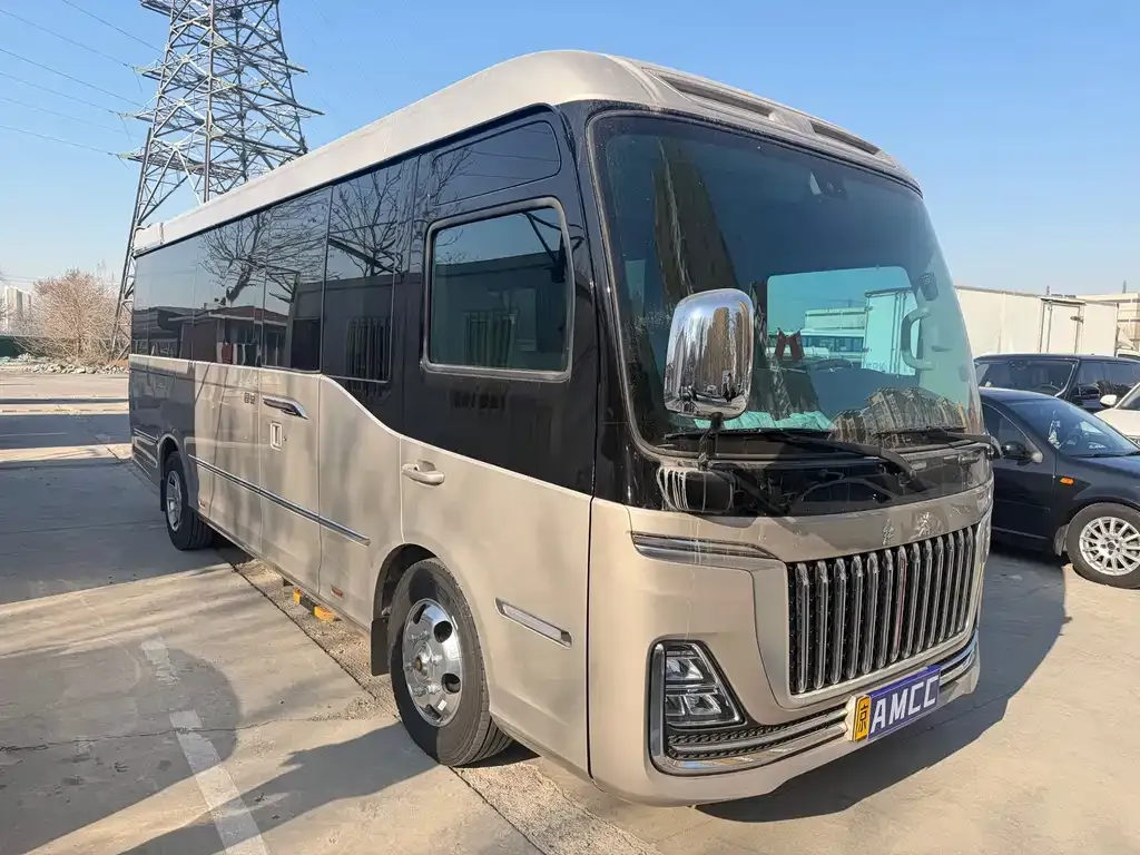 Hongqi Golden Sunflower Guoyue 2025 из CN, фото 10