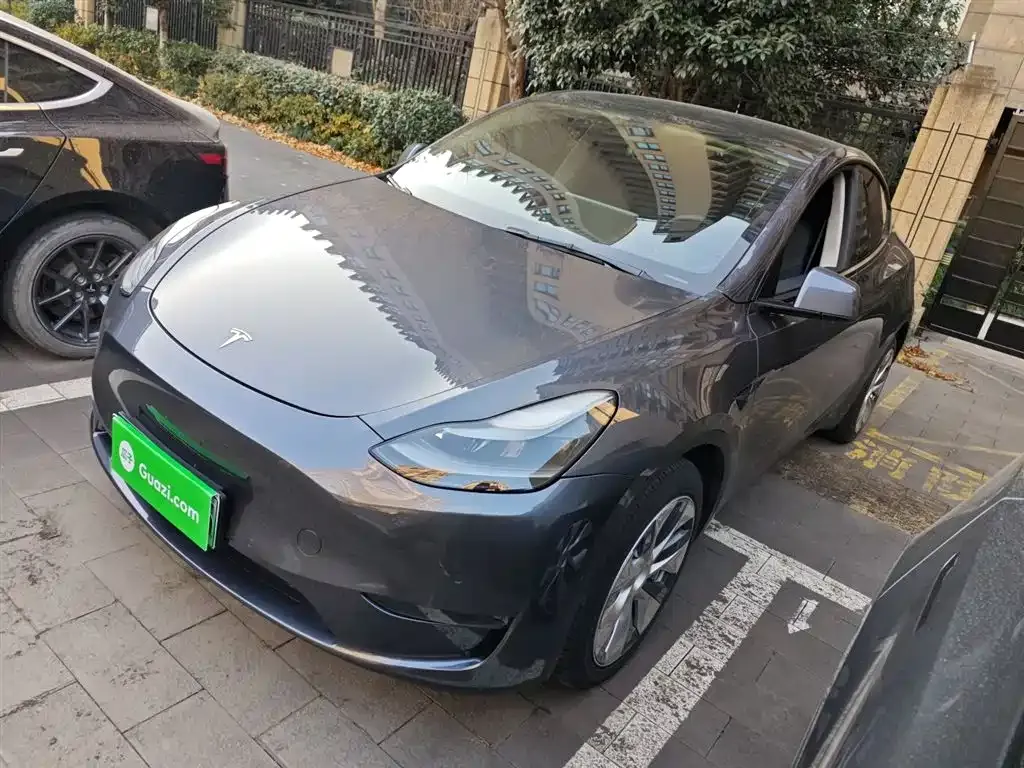Tesla Model Y 2021 из CN, фото 2