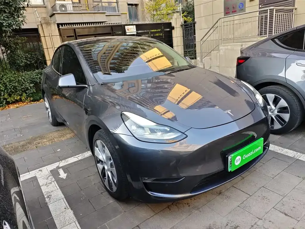 Tesla Model Y 2021 из CN, фото 4