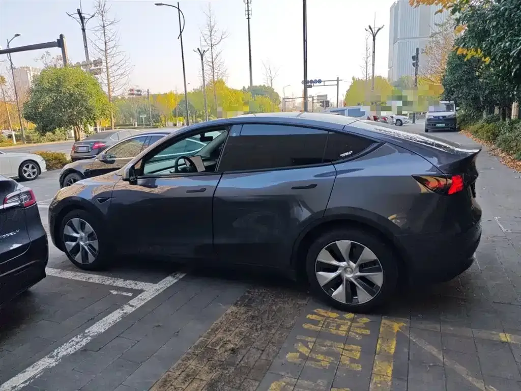 Tesla Model Y 2021 из CN, фото 5