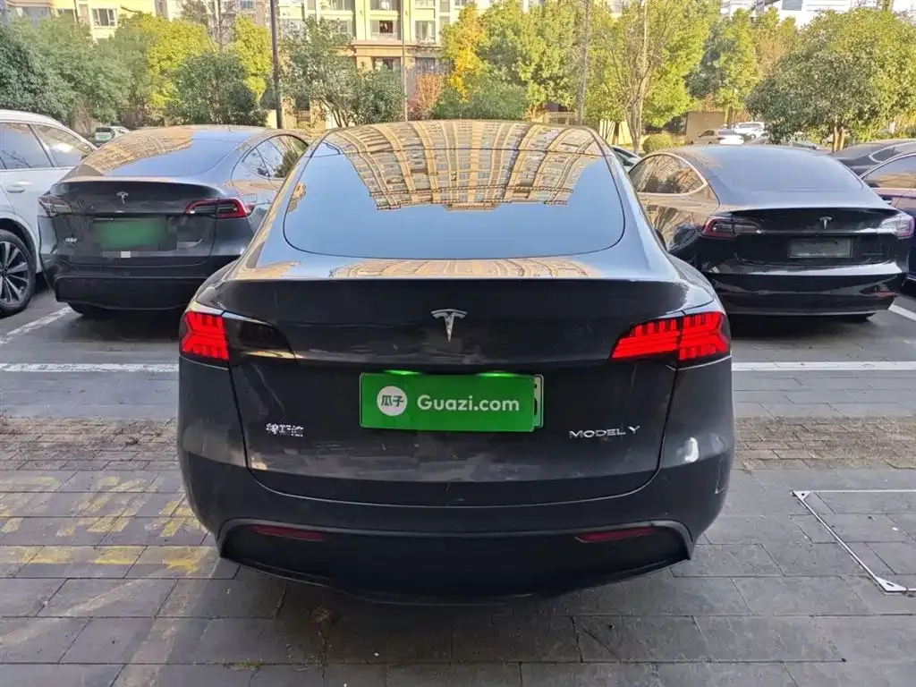 Tesla Model Y 2021 из CN, фото 6