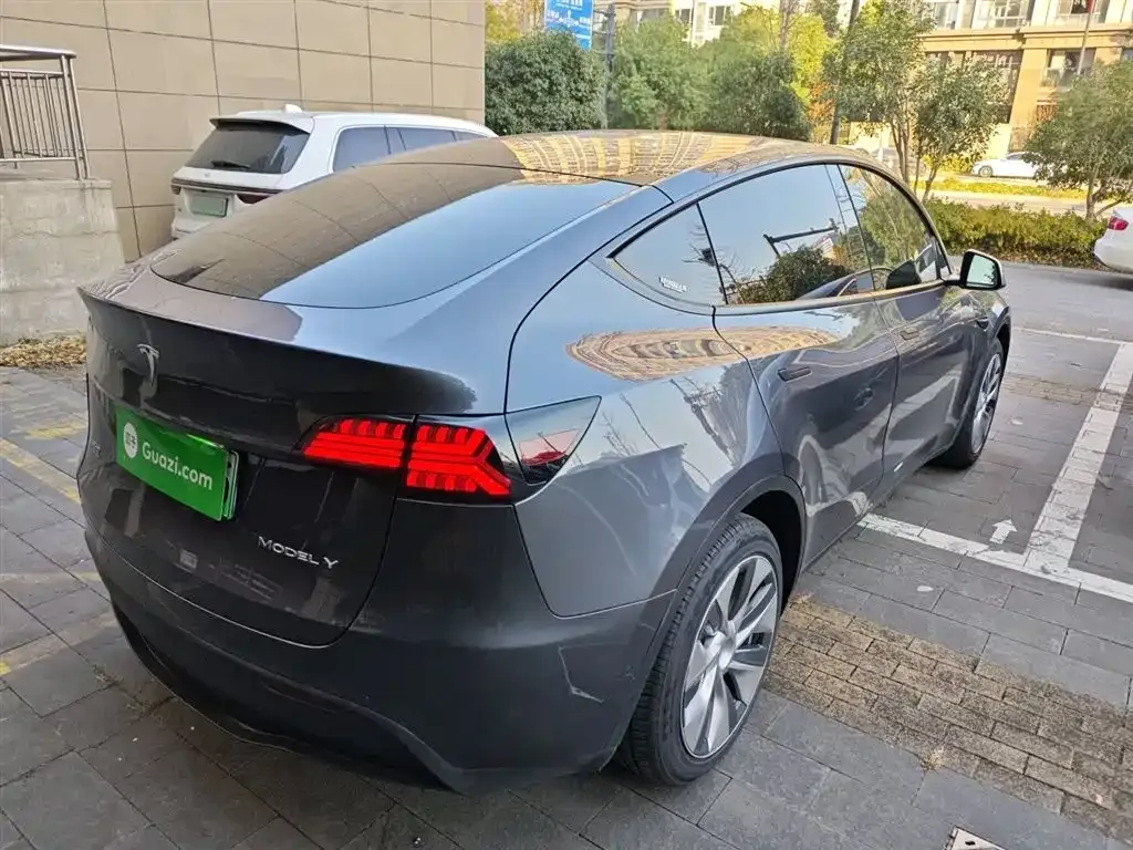Tesla Model Y 2021 из CN, фото 7