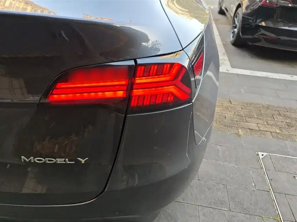 Tesla Model Y 2021 из CN, фото 8