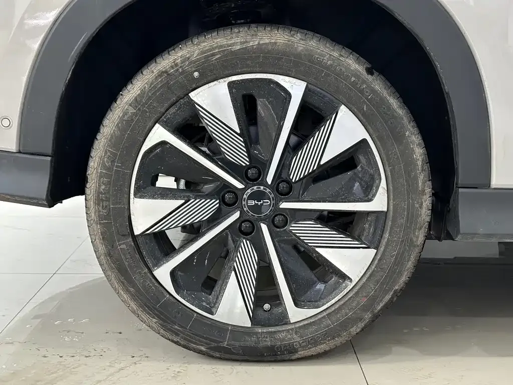 BYD PLUS New Energy 2025 из CN, фото 10
