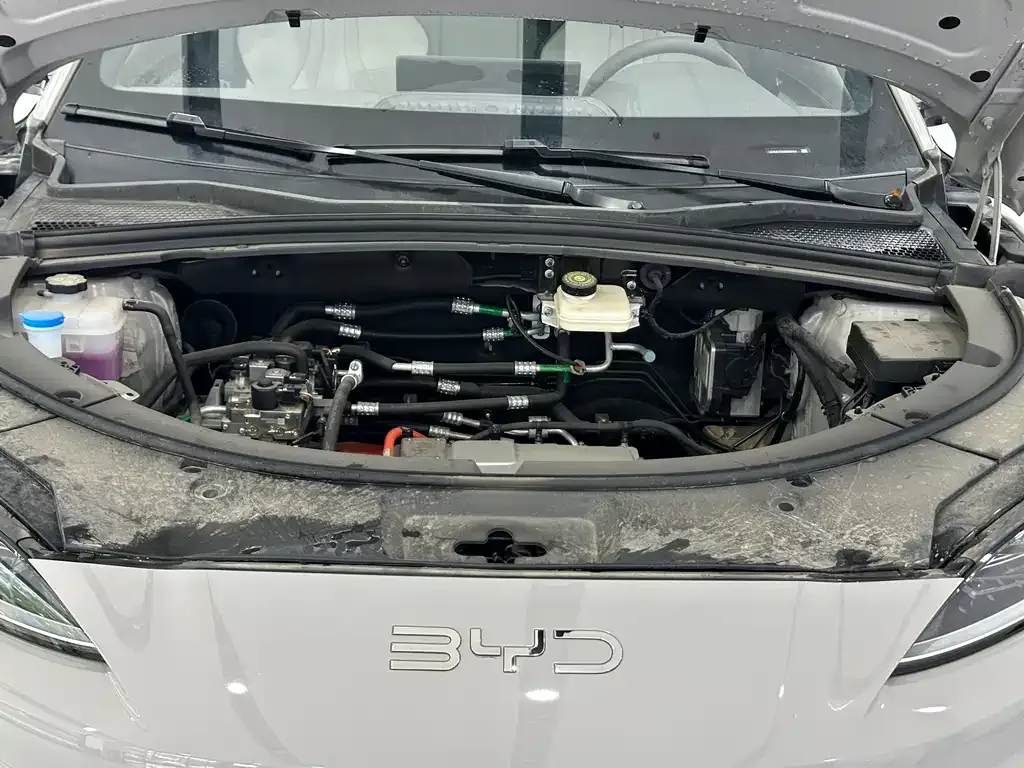 BYD PLUS New Energy 2025 из CN, фото 8