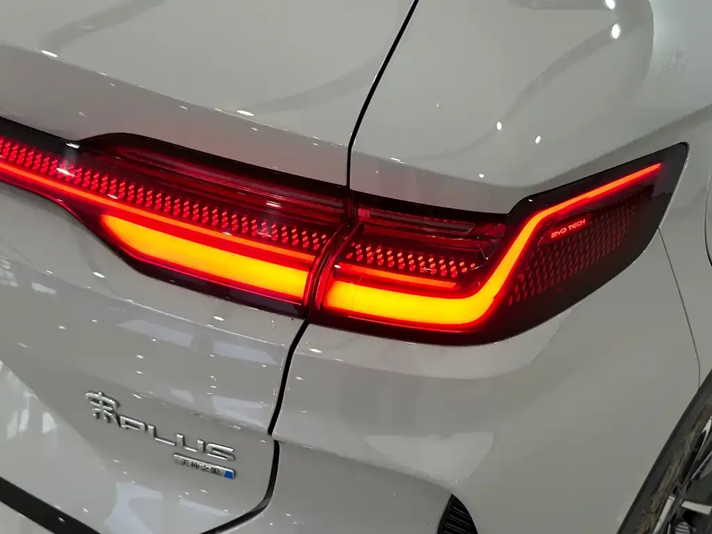 BYD PLUS New Energy 2025 из CN, фото 3